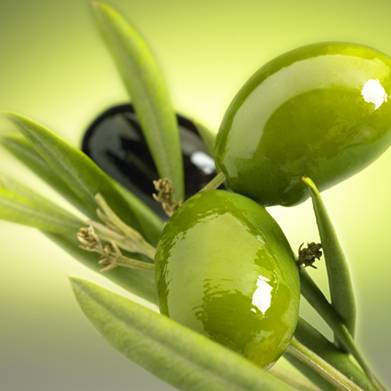 Olio Extravergine di oliva