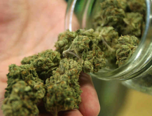 marijuana legale in Uruguay