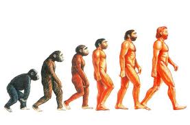 evoluzione dell'uomo